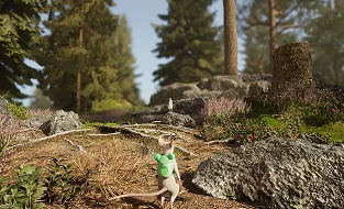 gallery-image-13-img